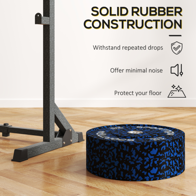 SPORTNOW Olympic Weight Plates with 5cm Holes for Weight Lifting, 2 x 10kg